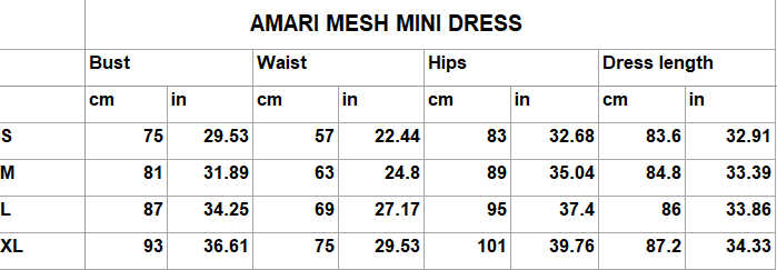 Amari Mesh Mini Dress -  Black